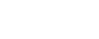 IBM partner